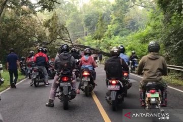 BPBD Gunung Kidul imbau masyarakat waspadai angin kencang