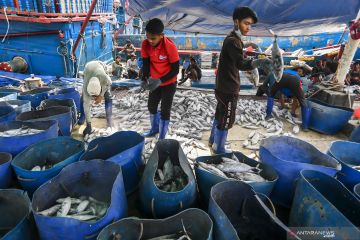 KKP ungkap masih banyak awak kapal ikan belum dapat jaminan sosial