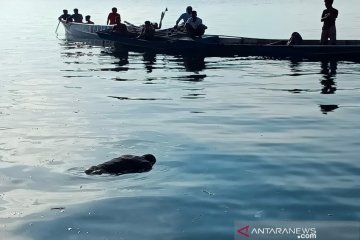 Nelayan hilang di perairan Muna Barat ditemukan meninggal