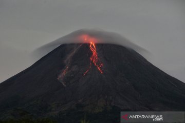 Gunung Merapi luncurkan tiga kali guguran lava pijar sejauh 900 meter