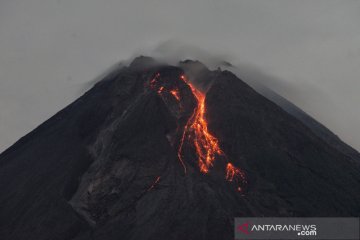 Gunung Merapi luncurkan awan panas guguran sejauh 1,3 Km
