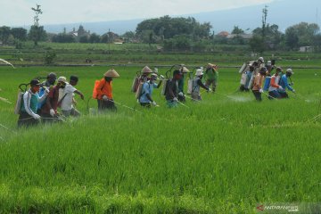 Anggota DPR: Pembangunan infrastruktur terkoneksi dukung pertanian