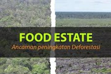 JPIK ingatkan pemerintah, deforestasi hutan Indonesia masih terjadi