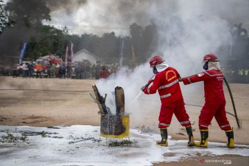 Apel Siaga Karhutla Sumsel 2021