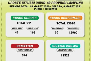 Dinkes catat kasus COVID-19 di Lampung bertambah 60 pasien