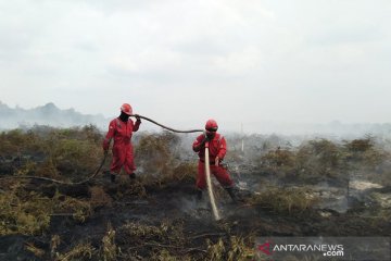 Lahan gambut Rimbo Panjang-Riau terbakar, tim berjibaku memadamkan