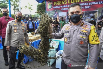 Sebanyak 144,5 ton ganja diamankan Polres Metro Jakbar