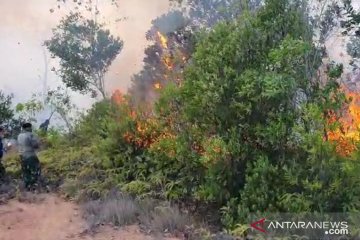 Enam hektare lahan di sekitar KKOP Bandara Hang Nadim terbakar