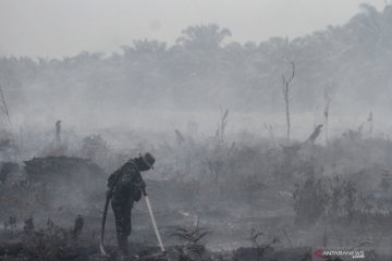 Kebakaran lahan gambut di Kabupaten Kampar