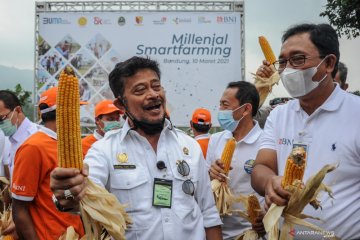 Pemerintah optimistis target PDB sektor pertanian 2021 tercapai