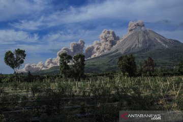Dua kali erupsi, Sinabung luncurkan awan panas guguran 3.000 meter