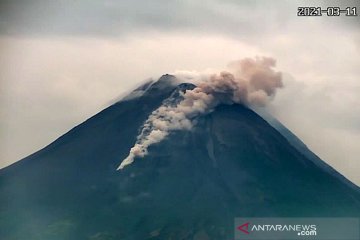 Gunung Merapi meluncurkan awan panas guguran sejauh 1,2 km