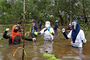 SBI jaga ekosistem lahan basah habitat bekantan