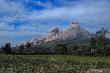 Erupsi Gunung Sinabung Karo teramati setinggi 200 meter