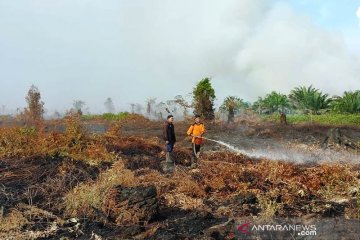 Karhutla di Aceh Barat bertambah menjadi enam hektare