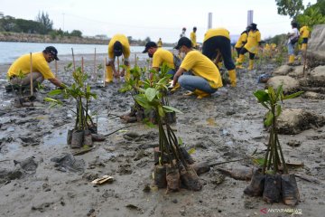 Peneliti sebut konflik lahan jadi kendala rehabilitasi mangrove kritis