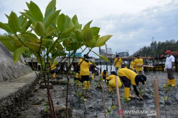 Gerakan Nasional Penanaman Mangrove