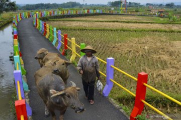 Menkeu ungkap TKDD alami kontraksi 12,4 persen, Dana Desa meningkat