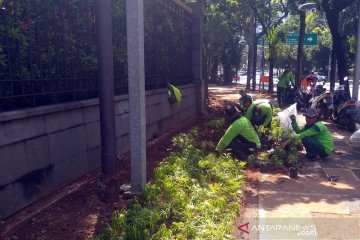 Pemkot Jakpus percantik jalan hingga TPU dengan 150 ribu tanaman