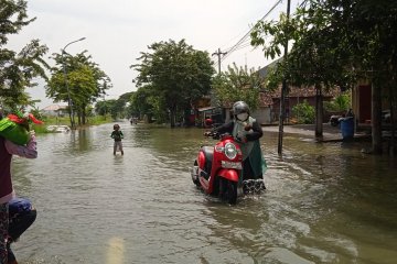 Banjir di Kabupaten Gresik meluas di empat kecamatan