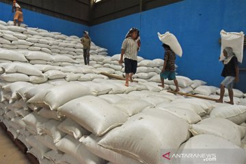 Masuk panen raya, Kementan sebut stok beras aman jelang Ramadhan