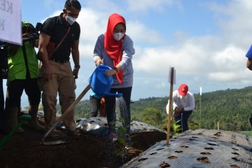 Purbalingga terima bantuan 10.000 bibit kopi dari Kementan