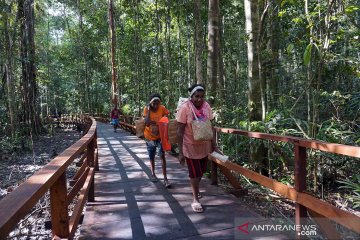 Aktivis: Peningkatan peran perempuan perkuat pembangunan wilayah Papua