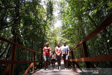 Potensi wisata pengamatan burung di Sorong