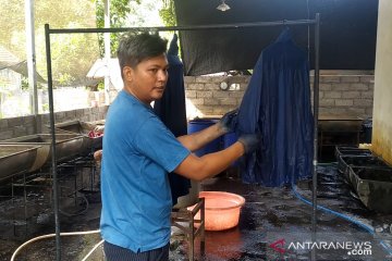 Pengusaha tekstil Buleleng-Bali kembangkan pewarna alami