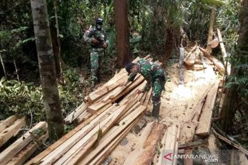 Satgas Pamtas Kapuas amankan kayu olahan ilegal di perbatasan