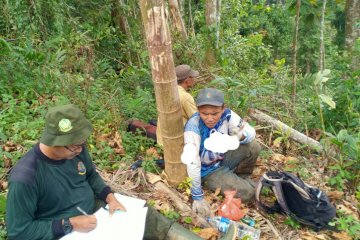 TNKS matangkan kemitraan berbasis wilayah adat di Sungai Gambir Sako