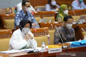 Mensos Risma: Profesi psikologi dukung keberdayaan sosial