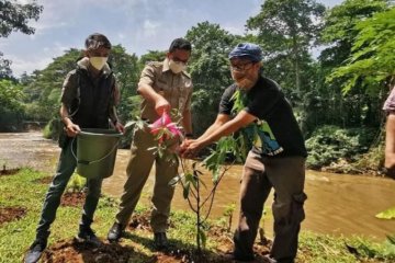 Anies tanam pohon di TMB Gintung peringati Hari Air