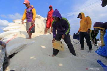 Petambak garam minta pemerintah kaji ulang kebijakan impor garam