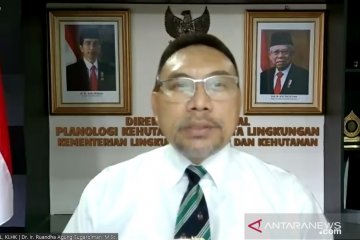 KLHK sebut PIPPIB untuk perbaiki tata kelola hutan dan gambut