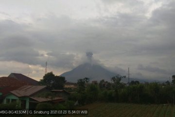 Ketinggian erupsi Gunung Sinabung Karo teramati mencapai 700 meter