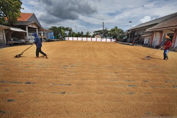DPR harap adanya audit kinerja Bulog terkait pengelolaan beras