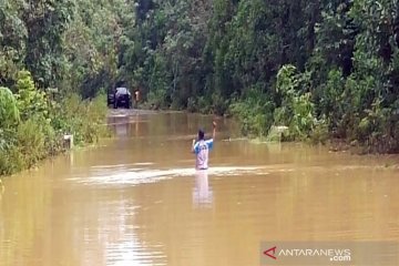 Puluhan hektare kebun karet di Mesuji terendam banjir