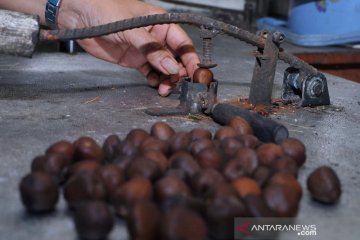 Produksi kopi olahan biji salak