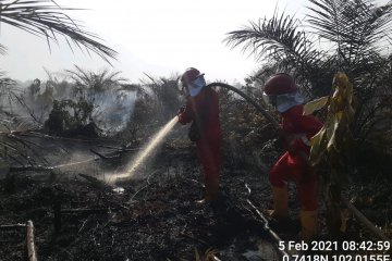 Memenjarakan pembakar hutan dan lahan