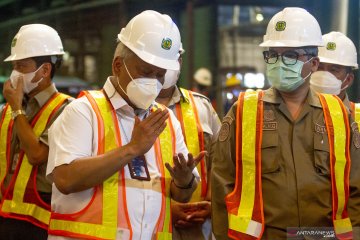 Wamentan: Stok pupuk subsidi sangat cukup segera distribusi