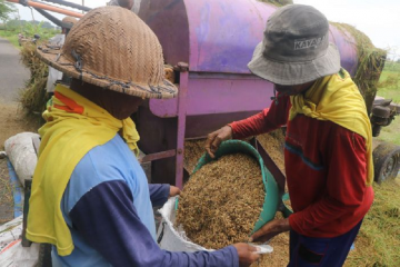 Optimalkan sektor pertanian demi dorong pemulihan ekonomi