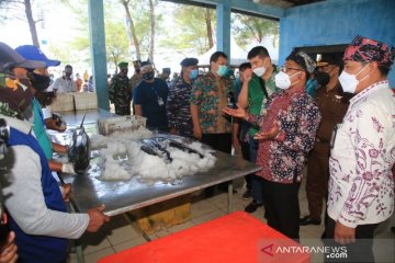 Banyuwangi kenalkan Muncar sebagai pelabuhan ikan terbesar