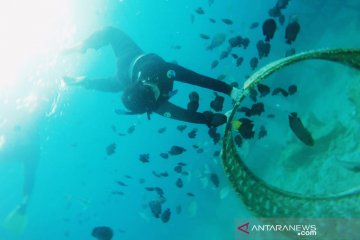 Disbudpar Aceh kembangkan potensi wisata  di Pulau Banyak, Singkil