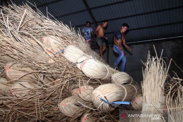 Bea Cukai gagalkan penyelundupan rotan ke Malaysia