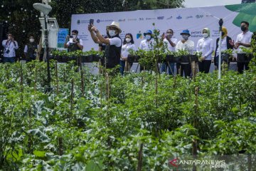 Gaet generasi muda, Jabar luncurkan program Petani Milenial