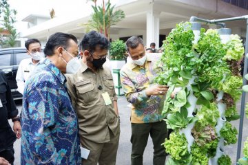 Mentan sampaikan lima pesan khusus untuk petani milenial di Jombang