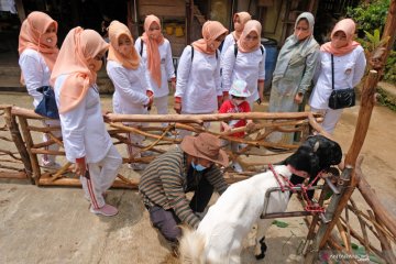 Ekowisata di Bukit Menoreh