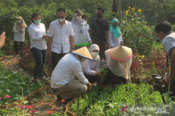 Wagub ajak warga DKI kunjungi Kebun Bibit Kamal Muara