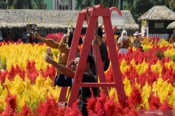 Wisata taman bunga celosia di Palembang